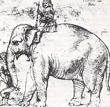 Kumpulan gambar sketsa gajah, hewan besar dengan belalai panjang. Sejarah Gajah Di Eropa Wikiwand