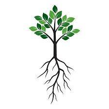 Green Tree With Roots Illustration Roots Illustration Tree Icon Roots Logo
