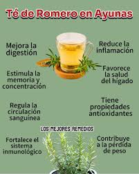 🌿☕ Té de Romero en Ayunas: Tradición Natural para el Bienestar El romero  es una de las plantas aromáticas más valoradas en la medicina natural.  Desde hace siglos se ha utilizado por
