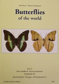 Последние твиты от thomas frankenbach (@frankenbachtom). Butterflies Of The World 35 Nymphalidae 20 Anaeomorpha Noreppa Archaeoprepona I By Schaeffler O Frankenbach T