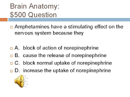 Part of the nervous system made of the brain and spinal cord. The Nervous System Quiz Questions Set 2 Correct