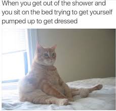 Hilarious Memes That Sum Up Pregnancy
