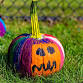 Paint a Pumpkin event image