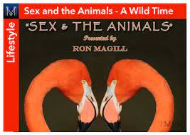 Incredible facts surrounding the courtship behaviors of the animal kingdom!  