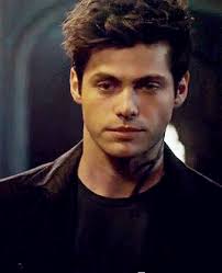 Shadowhunters Imagines & Preferences