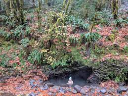 Deer creek hot springs is a hot spring along the mckenzie river in the cascade range of western oregon, united states. Deer Creek Hot Springs Central Oregon S Hidden Gem Mike Laura Travel