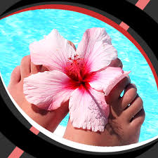 Maybe you would like to learn more about one of these? Amazon Com Live Wallpapers Hibiscus Appstore For Android