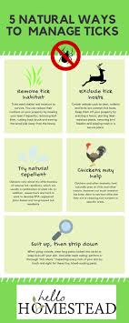 There are a number of different ways that can help keep ticks away, and the further these bugs are from you and your pets, the better the results. Natural Tick Repellent And Other Methods Of Tick Management Hello Homestead