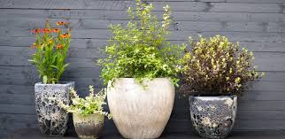 Alibaba.com offers 4,947 nursery paper products. Welcome To Flower Pot Nursery Flower Pot Nursery