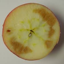 Check spelling or type a new query. Storage Disorders Cooperative Extension Tree Fruits University Of Maine Cooperative Extension