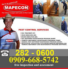 Ants, bugs, termites, snakes, rats, etc. Top Pest Control In Philippines List Of Pest Control Services Philippines