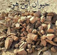 لغز ماهو الحيوان المختفي في الصورة Blog Blog Posts