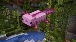We did not find results for: Minecraft 1 17 All Axolotl Sounds Youtube