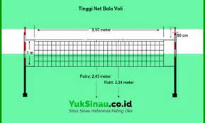We did not find results for: Tinggi Net Bola Voli Putra Dan Putri Standar Pbvsi