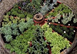 Wagon Wheel Herb Garden What A Cool Idea For Herbs Or Succulents Or Sedum Awesome Herb Garden Design Backyard Herb Garden Vegetable Garden Design