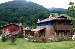 El turismo rural siempre se ha caracterizado por ser una alternativa idónea para todas aquellas personas que desean desconectar si éste no es tu caso, y lo que buscas es un alojamiento en casa rural que admite perros para dos personas, también puedes encontrar casas. Casas Rurales Que Admiten Perros En Asturias Viajar Con Perros Casa Rural Admite Mascotas Escapada Casas Rurales Fin De Semana Asturias