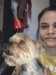 Amazon drivers help find lost dogs