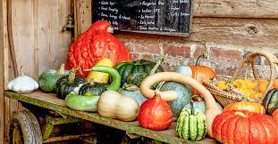 There are several to choose from, from homey acorn squash and magical cinderella pumpkins to charmingly shaped turban squash. 8 Delicious Types Of Squash