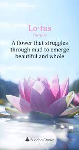Word Of The Day Lotus Lotus Flower Quote Flower Quotes Word Of The Day