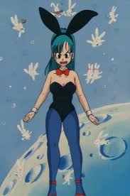 Dragonball In 2020 Anime Dragon Ball Bunny Costume
