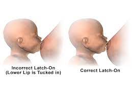 Maybe you would like to learn more about one of these? A Breastfeeding And Latching Primer Theacare
