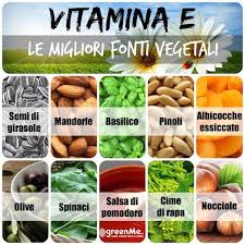 Dove posso trovare la la vitamina b12 è di origine batterica e si trova nel terreno e contamina i vegetali stessi. Vitamina E Le 10 Migliori Fonti Vegetali Greenme