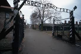 Image result for holocaust photos