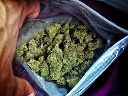 6 Weed Myths Fit Guys Can Ignore