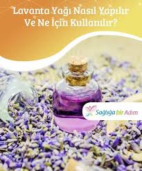 Lavanta Yagi Nasil Yapilir Ve Ne Icin Kullanilir Lavanta Yagi Aromasi Duyulari Canlandirabilir Ancak Hos Kokusunun Ote Perfume Bottles Perfume Health Beauty
