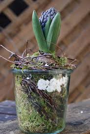 Filz Und Garten Gartenblog Diy Ostergesteck Mit Hyazinthe Und Gefilztem Ganseblumchen Pflanzen Bepflanzung Gartendekoration