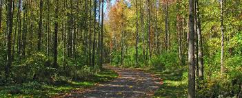 Walnut Woods Features 1 032 Acres Of Woodlands And Fields Bordered By Walnut Creek To The North Country Roads Trip Walnut Wood