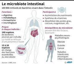 Il faut vraiment considérer le côlon irritable comme une maladie. Microbiote Et Si L Avenir De La Medecine Se Trouvait Dans L Intestin Sciences Et Avenir