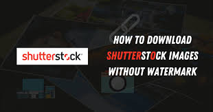 Yes, you can download free shutterstock images but with a watermark. Download Shutterstock Images Without Watermark Zaman Ali Sandhu