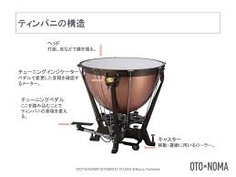 打楽器の楽器法①：オーケストラを代表する４つの打楽器の構造、特徴を理解しよう！ – OTO×NOMA