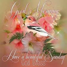Lovethispic offers sunday good morning blessings pictures, photos & images, to be used on facebook, tumblr, pinterest, twitter and other websites. 20 Wonderful Sunday Blessings Pictures Images With Good Morning Holiday Wishes