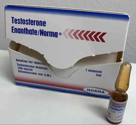 Norma Generic Testosterone Enanthate Steroid 250 Mg in Firozabad at ₹ 1,500 / Vial by Sumit Trading Company - Justdial