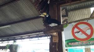Untuk ukuran tempat glamping sendiri. Mohd Faiz Bin Abdul Manan Farm In The City Fitc