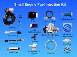 You also need to remember, you'll need to plan how to wire the electric fuel pump regardless of style chosen. Small Engine Efi Ecotron
