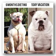 Your daily dose of app extra features: 18 Funny As Hell Gym Memes That Will Motivate You To Workout With A Smile