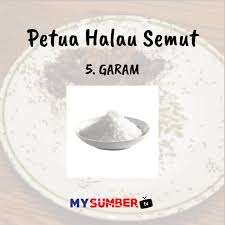 Dari mana datangnya tak tahulah. Tak Payah Guna Racun Halau Semut Amalkan Petua Senang Ni Guna Barang Ada Kat Rumah Korang Je