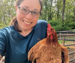 How to stop a big chicken from bullying a smaller one during feeding times?