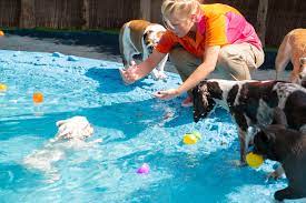 Follow us on social media! Urban Tails Pet Resort Home Facebook