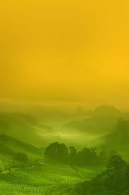 Find over 100+ of the best free cameron highlands images. Phoneky Cameron Highlands Hd Wallpapers