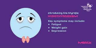 Thyroid gland, anterior and lateral views. Merck Healthcare On Twitter Get To Know The Hypothyroidism Thyroji Weight Gain And Depression Are Some Symptoms Of An Underactive Thyroid Gland Follow The Link To Check Your Thyroid Or To Share