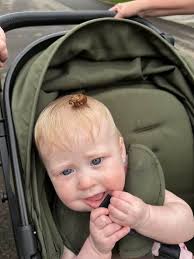 My father is from Indiana. Hoosier Daddy!