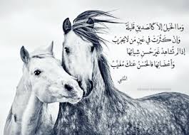 خواطر عن الخيل إقرأ خواطر عن الخيل و خواطر عن الخيل تويتر و أجمل خواطر عن الخيل