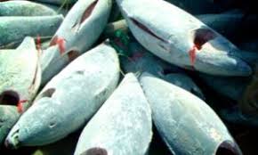 It's an optional step in the freezing process of many foods, but in most cases, it's totally worth to take the extra 5 or 10 minutes to do it. Benefits Of Flash Freezing Charlie S Home Cuisine Seafood Delivery