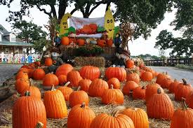 Flower mound pumpkin patch, flower mound, texas. The Flower Mound Pumpkin Patch Kids Out And About Dallas