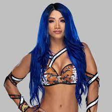 Fan page for sasha banks Bayleymedia I M Not Bayley Fan Acc On Twitter Sasha Banks Bikini Sasha Bank Wwe Sasha Banks