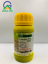 Cambio Pro 460SL.